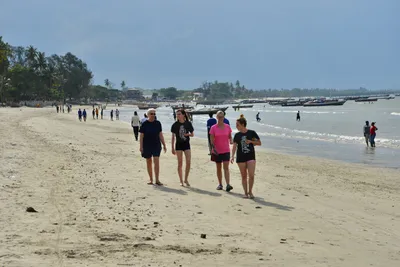 DSC_5495 (Large).JPG